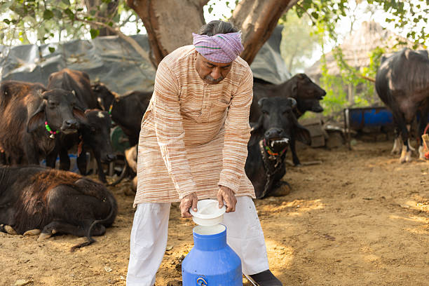 Achariya Annapurna Dairy Mitra Farm