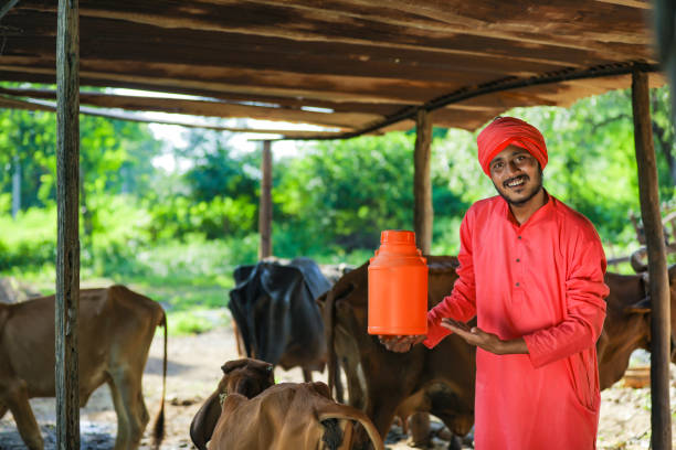 Dairy Mitra Hub